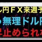 【ドル円FX予想最新】衆議院選挙、日銀会合、雇用統計、来週は強いイベント多く控えてますが、ドル円は更に円安上昇が加速する可能性あるとみてます！人によっては嬉しい悲鳴なのか？日本は政治、経済大丈夫なのか