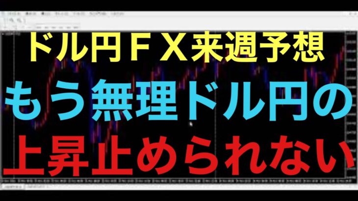 【ドル円FX予想最新】衆議院選挙、日銀会合、雇用統計、来週は強いイベント多く控えてますが、ドル円は更に円安上昇が加速する可能性あるとみてます！人によっては嬉しい悲鳴なのか？日本は政治、経済大丈夫なのか