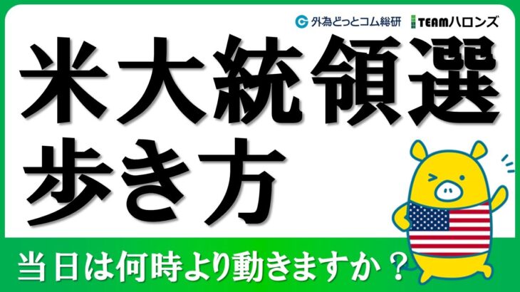 FX実践解説、米大統領選挙歩き方、当日は何時より動き出す？（2024年10月16日)