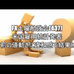 FX土曜勉強会(437)米国雇用統計発表　事前の値動きに違和感で結果は❕