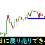 【FX】この通貨は戻り売りOK。逆にポンドドルは売りNG。この違いって？