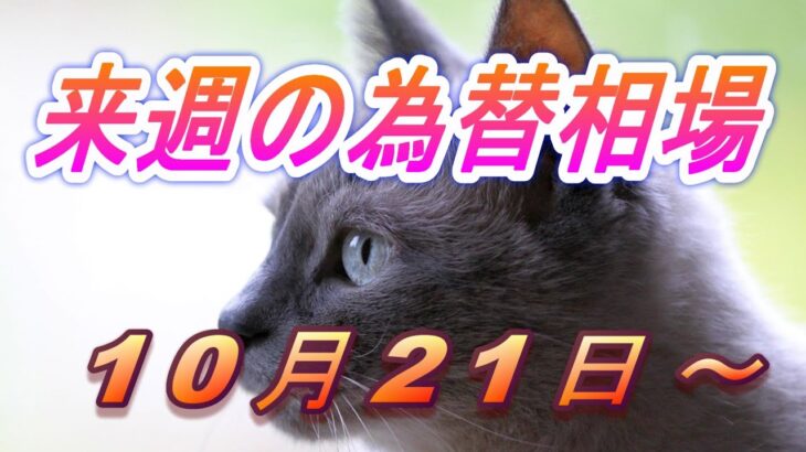 【TAKA FX】ドル、円、ユーロ、ポンド、豪ドルの環境認識解説。10月21日(月)～