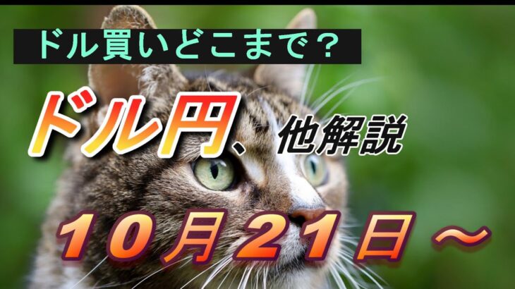 【TAKA FX】大統領選挙、FOMCへ向けて…　ドル円他各通貨の環境認識解説。各種指数、GOLDなど　10月21日(月)～