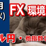 【TAKA FX】ドル円他各通貨の環境認識解説。各種指数、GOLDなど　10月1日(火)