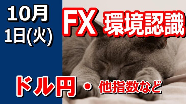 【TAKA FX】ドル円他各通貨の環境認識解説。各種指数、GOLDなど　10月1日(火)