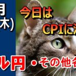 【TAKA FX】ドルの流れに変化あり！？　ドル円他各通貨の環境認識解説。各種指数、GOLDなど　10月10日(木)