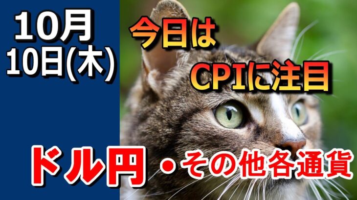 【TAKA FX】ドルの流れに変化あり！？　ドル円他各通貨の環境認識解説。各種指数、GOLDなど　10月10日(木)