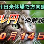 【TAKA FX】動きそうで動かない…　ドル円他各通貨の環境認識解説。各種指数、GOLDなど　10月14日(月)～