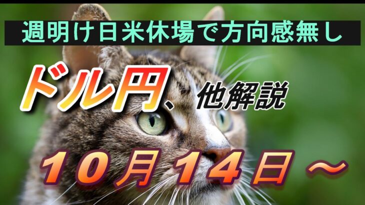 【TAKA FX】動きそうで動かない…　ドル円他各通貨の環境認識解説。各種指数、GOLDなど　10月14日(月)～