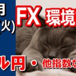 【TAKA FX】ドル円他各通貨の環境認識解説。各種指数、GOLDなど　10月15日(火)