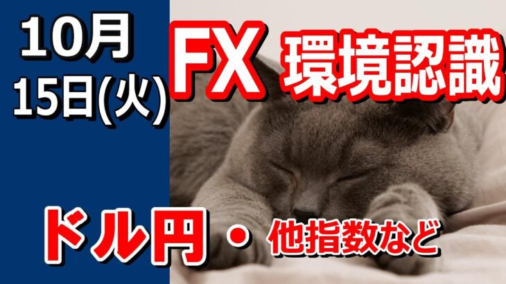 【TAKA FX】ドル円他各通貨の環境認識解説。各種指数、GOLDなど　10月15日(火)