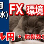 【TAKA FX】ドル円他各通貨の環境認識解説。各種指数、GOLDなど　10月16日(水)