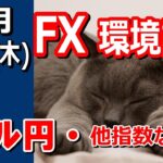 【TAKA FX】ドルの流れに変化あり！？　ドル円他各通貨の環境認識解説。各種指数、GOLDなど　10月17日(木)