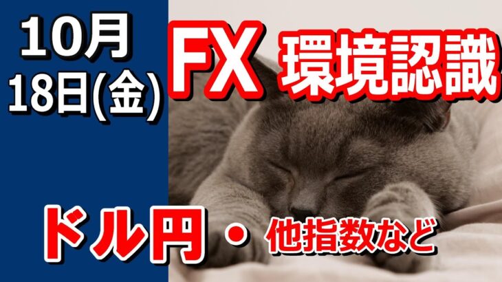 【TAKA FX】ドル円他各通貨の環境認識解説。各種指数、GOLDなど　10月18日(金)