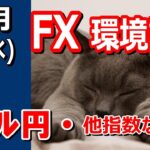 【TAKA FX】ドル円他各通貨の環境認識解説。各種指数、GOLDなど　10月2日(水)