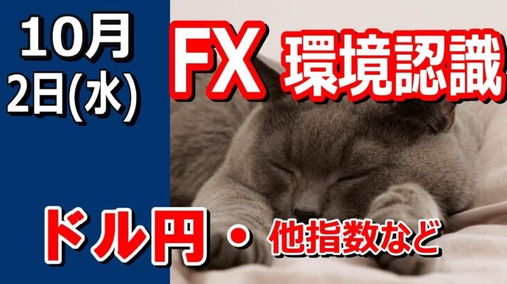 【TAKA FX】ドル円他各通貨の環境認識解説。各種指数、GOLDなど　10月2日(水)