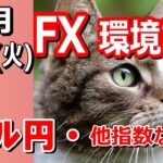 【TAKA FX】ドル円他各通貨の環境認識解説。各種指数、GOLDなど　10月22日(火)