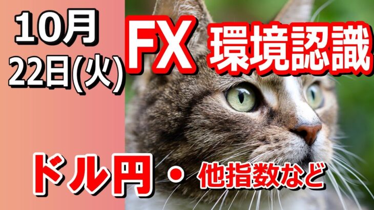 【TAKA FX】ドル円他各通貨の環境認識解説。各種指数、GOLDなど　10月22日(火)