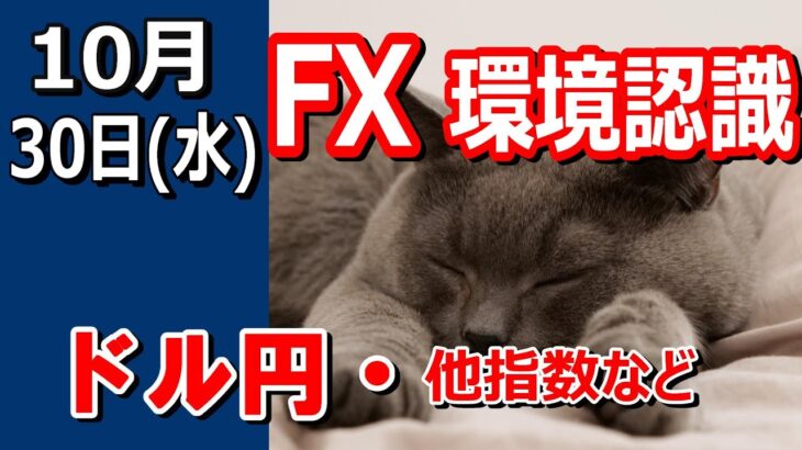 【TAKA FX】ドル円他各通貨の環境認識解説。各種指数、GOLDなど　10月30日(水)