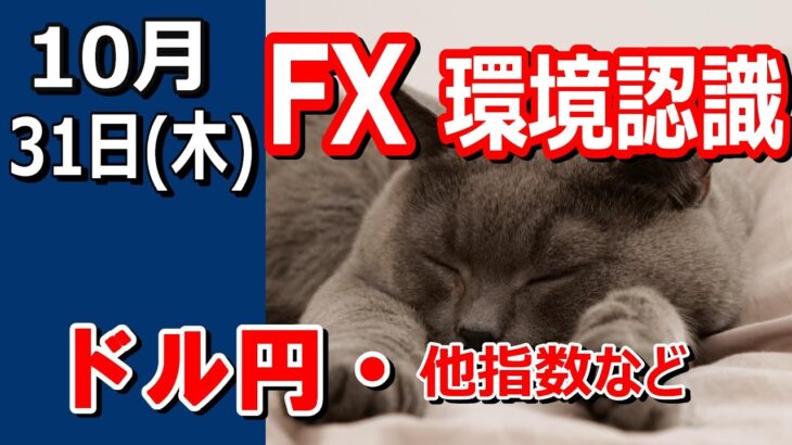 【TAKA FX】ドル円他各通貨の環境認識解説。各種指数、GOLDなど　10月31日(金)