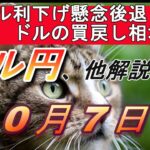 【TAKA FX】石破総裁右往左往相場？ｗ　ドル円他各通貨の環境認識解説。各種指数、GOLDなど　10月7日(月)～