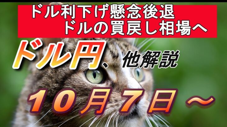 【TAKA FX】石破総裁右往左往相場？ｗ　ドル円他各通貨の環境認識解説。各種指数、GOLDなど　10月7日(月)～