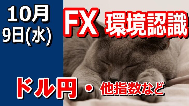 【TAKA FX】ドル円他各通貨の環境認識解説。各種指数、GOLDなど　10月9日(水)