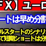 【ＦＸ】ユーロ円　４Ｈサイクルボトムへ向け続落できるか！？