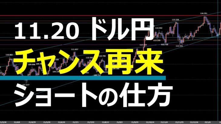 11.20 FX速報 ドル円 トレードポイント