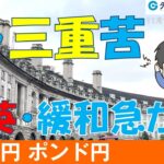 週刊為替レポートハロンズ・ダイジェスト（ユーロ/円、ポンド/円）-11月11日～11月15日週