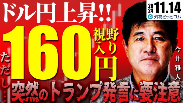 ドル円上昇で160円視野入り！ドル買い戦略だが…突然のトランプ発言には要注意！？　2024/11/14　今井雅人氏　FX/為替　#外為ドキッ