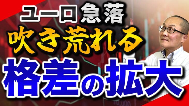 【2024年11月23日】ユーロ急落  吹き荒れる格差の拡大 ここにきて欧米の景況感の格差の拡大が一段と鮮明に　為替市場ではユーロドルが底割れから13か月振りの安値を更新　ドル円にも影響します