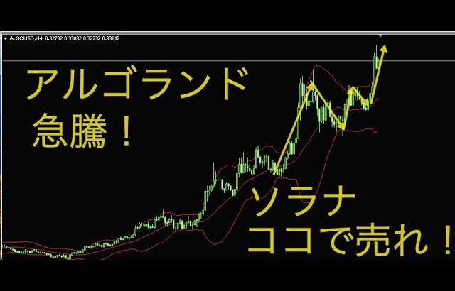 ソラナここで売れ！アルゴランド・リップル・ドル円・ポンドドルの相場分析をしました。2024年11月29日17時