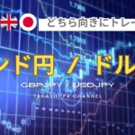 【ポンド円/ドル円】どちら向きにトレードする？ドル円ポンド円月曜日のエントリーポイント【2024/11/4週】