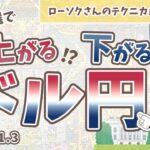 【必見】ドル円 最新 予想！大統領選の戦略をチャート分析でわかりやすく解説！【FX ローソクさんのテクニカル分析 #176】