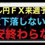 【ドル円FX予想最新】昨日の雇用統計結果後の値動きが予想外だったと思ったのは僕だけでしょうか！？思っている以上に底堅く円安強いと思います！米大統領選挙、FOMC控えてますが、円安は続くと予想してます！