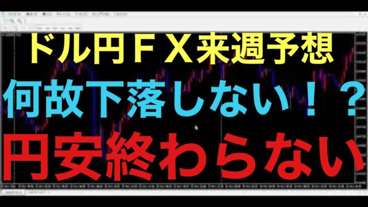 【ドル円FX予想最新】昨日の雇用統計結果後の値動きが予想外だったと思ったのは僕だけでしょうか！？思っている以上に底堅く円安強いと思います！米大統領選挙、FOMC控えてますが、円安は続くと予想してます！