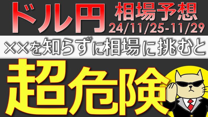 【ドル円最新予想】来週のドル円は攻め方を間違えると大損します。理由と正しい攻め方を簡単解説！来週の為替相場予想と投資戦略！ウクライナ・PCE・FOMC議事にも注目(24/11/25週)【FX】※