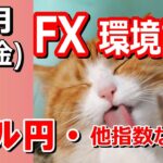 【TAKA FX】ドル円他各通貨の環境認識解説。各種指数、GOLDなど　11月1日(金)