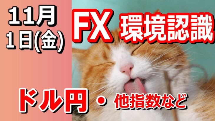 【TAKA FX】ドル円他各通貨の環境認識解説。各種指数、GOLDなど　11月1日(金)