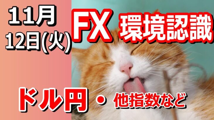 【TAKA FX】ドル円他各通貨の環境認識解説。各種指数、GOLDなど　11月12日(火)