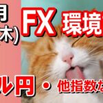 【TAKA FX】ドル円他各通貨の環境認識解説。各種指数、GOLDなど　11月14日(木)