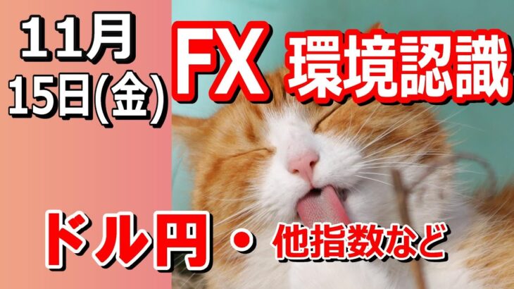 【TAKA FX】ドル円他各通貨の環境認識解説。各種指数、GOLDなど　11月15日(金)