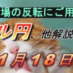 【TAKA FX】円相場の買戻しに要警戒！　ドル円他各通貨の環境認識解説。各種指数、GOLDなど　11月18日(月)～