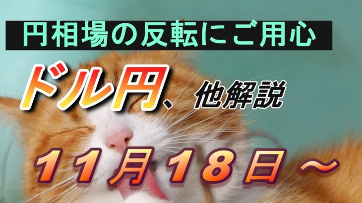 【TAKA FX】円相場の買戻しに要警戒！　ドル円他各通貨の環境認識解説。各種指数、GOLDなど　11月18日(月)～