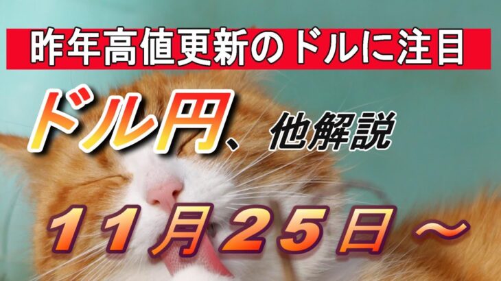 【TAKA FX】円相場の買戻しに要警戒！　ドル円他各通貨の環境認識解説。各種指数、GOLDなど　11月25日(月)～