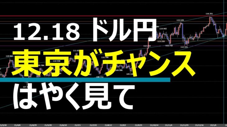 12.18 FX速報 ドル円トレードポイント