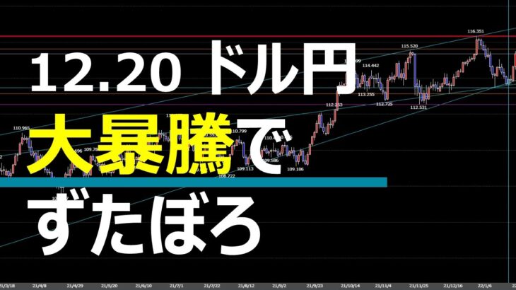 12.20 FX速報 ドル円トレードポイント