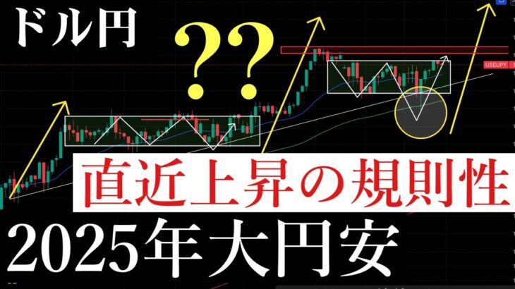 12/28 ✅【来週予想】年内の大暴騰確定。下目線の人お疲れ様でした！