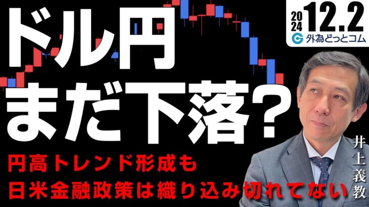 ドル円、まだ下落？円高トレンド形成も、日米金融政策はまだ織り込み切れていない　2024/12/2（月）井上義教【FX/為替】#外為ドキッ